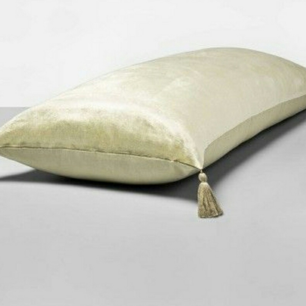 Opalhouse body pillow.